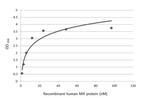MIF Antibody in ELISA (ELISA)