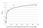 Mycoplasma pneumoniae P1 (strain ATCC 29342/M129/Subtype 1) Antibody in ELISA (ELISA)