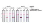 Mycoplasma pneumoniae P1 (strain ATCC 29342/M129/Subtype 1) Antibody in Lateral Flow (LF)