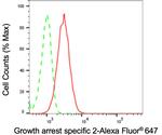 GAS2 Antibody in Flow Cytometry (Flow)
