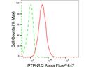 PTP1B/PTPN2 Antibody in Flow Cytometry (Flow)