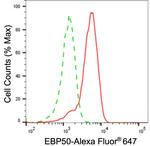 EBP50 Antibody in Flow Cytometry (Flow)