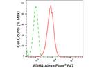 ADH4 Antibody in Flow Cytometry (Flow)