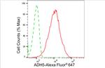 ADH5 Antibody in Flow Cytometry (Flow)