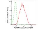 ADRM1 Antibody in Flow Cytometry (Flow)