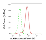 ALKBH2 Antibody in Flow Cytometry (Flow)