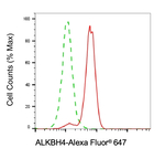 ALKBH4 Antibody in Flow Cytometry (Flow)