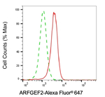 ARFGEF2 Antibody in Flow Cytometry (Flow)