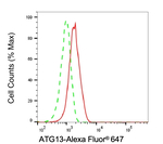 ATG13 Antibody in Flow Cytometry (Flow)