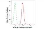 PMCA1 ATPase Antibody in Flow Cytometry (Flow)