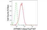 ATP5G1 Antibody in Flow Cytometry (Flow)
