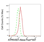 ATP6V0D1 Antibody in Flow Cytometry (Flow)