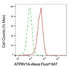 ATP6V1A Antibody in Flow Cytometry (Flow)