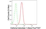 CBR1 Antibody in Flow Cytometry (Flow)