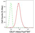 CUGBP1 Antibody in Flow Cytometry (Flow)