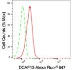 WDSOF1 Antibody in Flow Cytometry (Flow)
