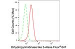 DPYSL3 Antibody in Flow Cytometry (Flow)