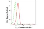 SAP97 Antibody in Flow Cytometry (Flow)
