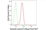DCTN5 Antibody in Flow Cytometry (Flow)