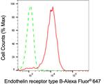 Endothelin B Receptor Antibody in Flow Cytometry (Flow)
