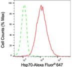 HSP70 Antibody in Flow Cytometry (Flow)