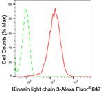 KLC3 Antibody in Flow Cytometry (Flow)