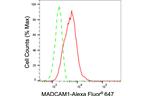 MAdCAM-1 Antibody in Flow Cytometry (Flow)