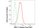 MALT1 Antibody in Flow Cytometry (Flow)