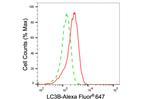 LC3B Antibody in Flow Cytometry (Flow)