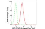 MEK3/MEK6 Antibody in Flow Cytometry (Flow)