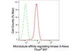 MARK3 Antibody in Flow Cytometry (Flow)