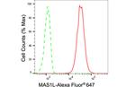 MAS1L Antibody in Flow Cytometry (Flow)