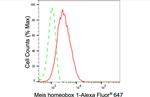 MEIS1 Antibody in Flow Cytometry (Flow)