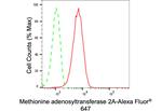 MAT2A Antibody in Flow Cytometry (Flow)