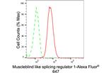 MBNL1 Antibody in Flow Cytometry (Flow)