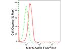 MYF5 Antibody in Flow Cytometry (Flow)