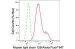 MRLC2 Antibody in Flow Cytometry (Flow)