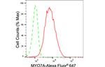 MYO7A Antibody in Flow Cytometry (Flow)