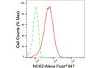 NCK2 Antibody in Flow Cytometry (Flow)