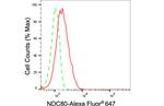 HEC1 Antibody in Flow Cytometry (Flow)