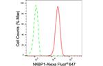 N4BP1 Antibody in Flow Cytometry (Flow)