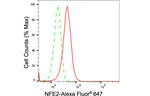 NFE2 Antibody in Flow Cytometry (Flow)