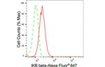 IkB beta Antibody in Flow Cytometry (Flow)