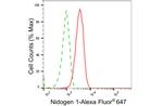 Nidogen Antibody in Flow Cytometry (Flow)