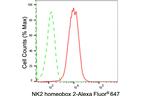 Nkx2.2 Antibody in Flow Cytometry (Flow)
