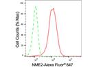 NME2 Antibody in Flow Cytometry (Flow)