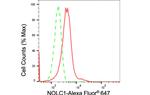 NOLC1 Antibody in Flow Cytometry (Flow)