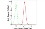 NPC1 Antibody in Flow Cytometry (Flow)