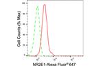 TLX Antibody in Flow Cytometry (Flow)