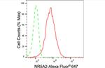 NR5A2 Antibody in Flow Cytometry (Flow)